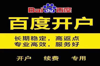 百度推广实战案例：低成本实现高回报